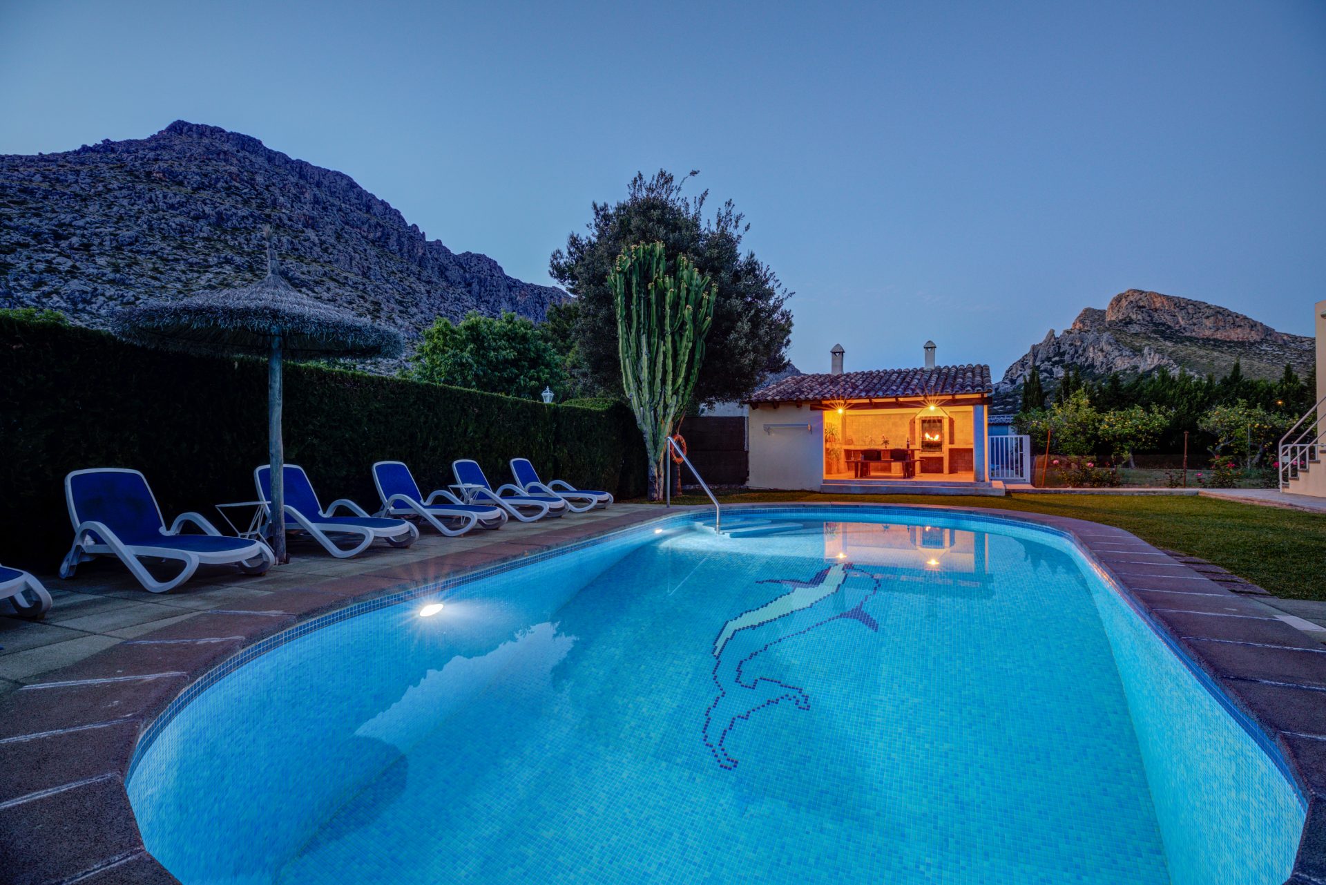 Piscina con un dibujo de un delfín