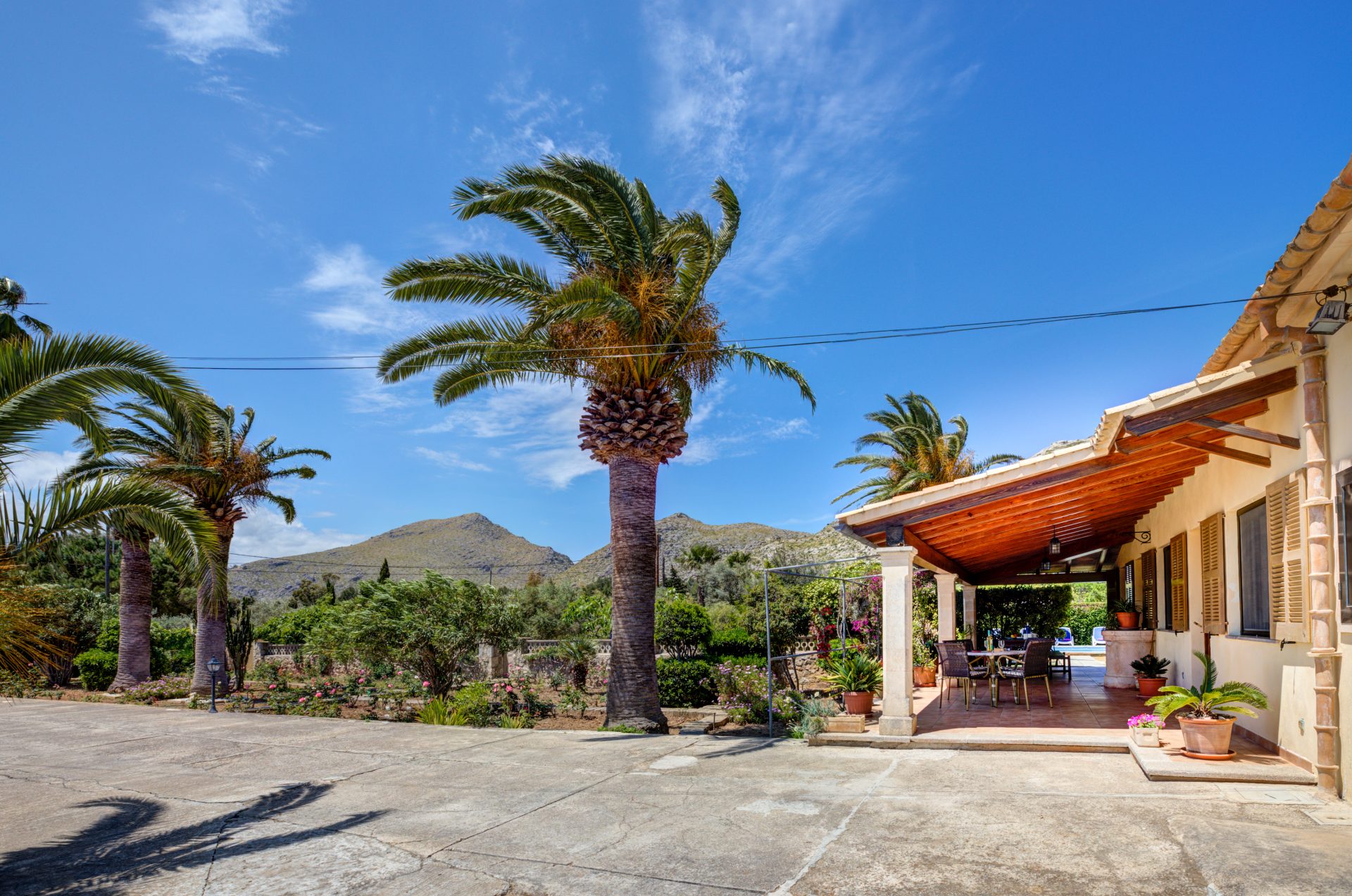 Jardín con palmeras de una villa